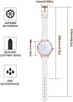 SHENGKE Simplicity Creative Women Watch Genuine Leather Elegant Women Watches Ladies Business Wristwatch - Image 5